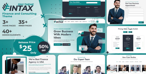 FinTax (Divi Builder Plus)