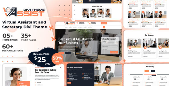 VAssist (Divi Builder Plus)
