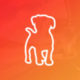Author Icon