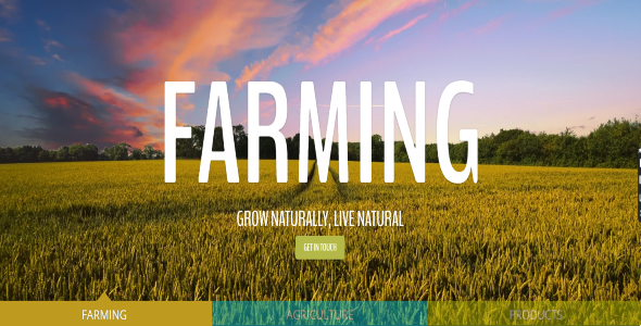 Agriculture, Family Farming (Divi Cake)