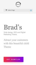 Brad (screenshot mobile)