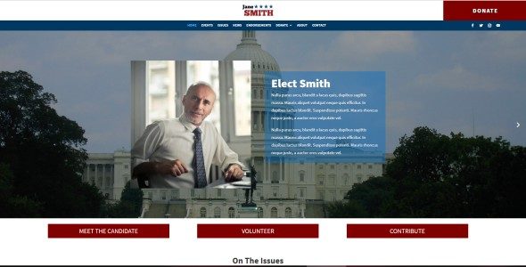Campaigner (Online Candidate)