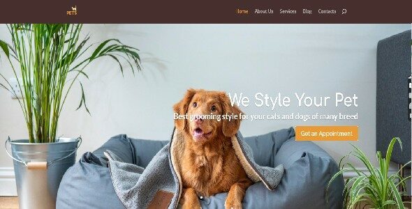 Divi Pets Grooming (Divi Cake)