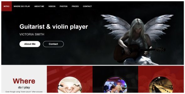 Musician (Divi Cake)