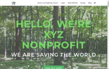 Nonprofit (screenshot desktop)