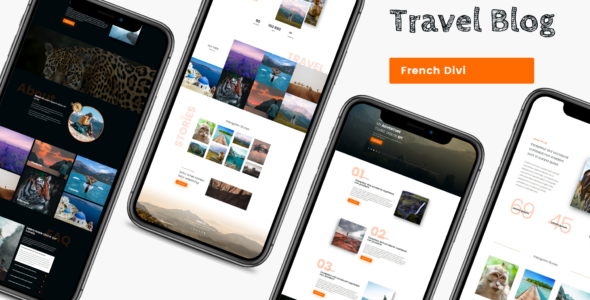 Travel (Divi Cake)
