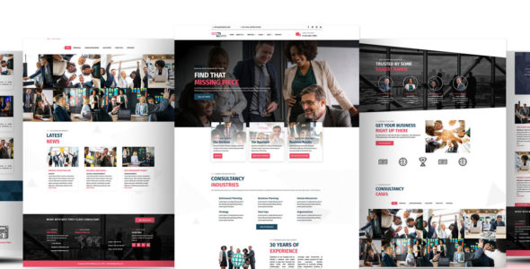 Divi Business (Divi-Childthemes)