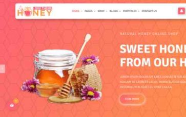 Divi Honey Shop (screenshot desktop)