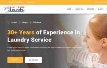 Divi Laundry Services (screenshot desktop)