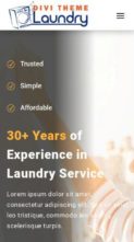 Divi Laundry Services (screenshot mobile)