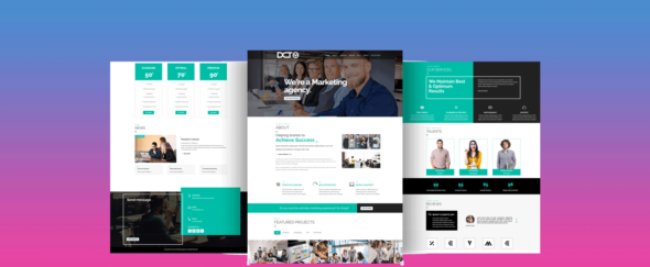 Divi Marketing Agency (Divi-Childthemes)