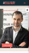 Divi Recruitment Agency (screenshot mobile)