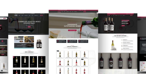 Divi Wine Shop (Divi-Childthemes)