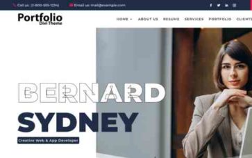 Portfolio (Divi-Childthemes) (screenshot desktop)