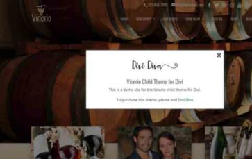 Vinerie DD (screenshot desktop)