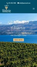Vinerie DD (screenshot mobile)