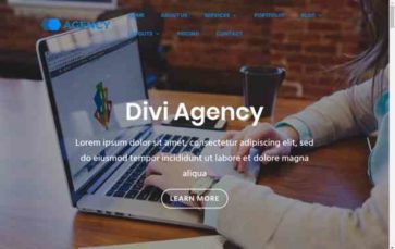 Divi Agency (screenshot desktop)
