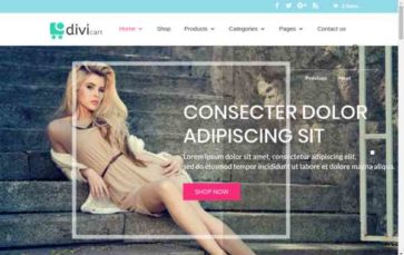 Divi Cart (screenshot desktop)