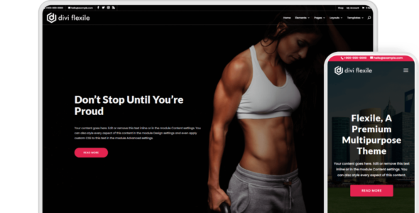 Flexile (Divi Extended)