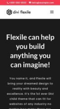 Screenshot Mobile Flexile (screenshot mobile)