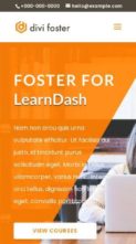 Foster For LearnDash (screenshot mobile)