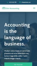 Divi Accounting (screenshot mobile)