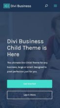 Divi Business (Divi Life) - (screenshot mobile)