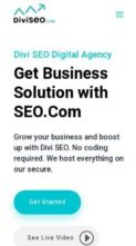 Divi SEO (Divi Life) - (screenshot mobile)