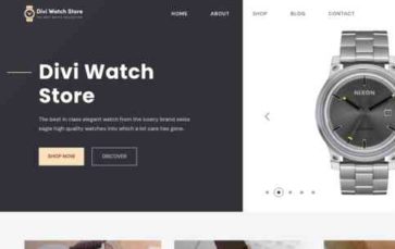 Divi Watch Store (screenshot desktop)
