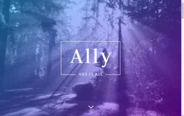Ally (Divi Lover) (screenshot desktop)