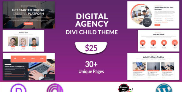 Agency (Divi Professional)