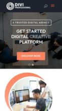 Screenshot Mobile Agency (Divi Professional) (screenshot mobile)