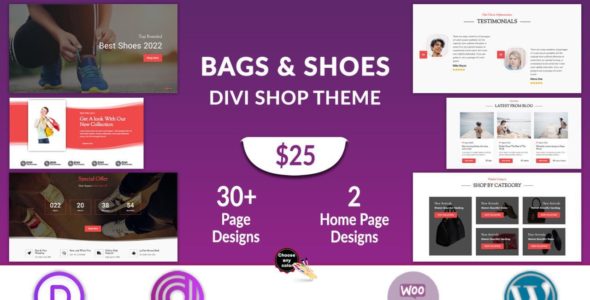 Bags and Shoes Shop (Divi Professional)