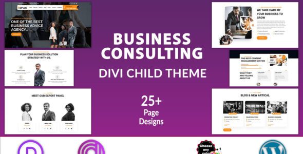 BizPlus Divi Business Consulting (Divi Professional)
