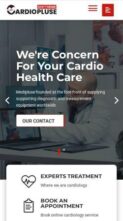 Cardiopluse (Divi Professional) - (screenshot mobile)