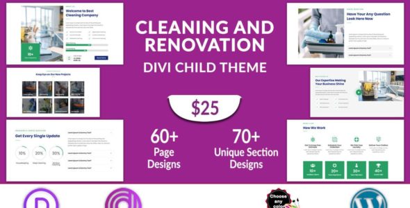 Cleaning and Renovation Service (Divi Professional)