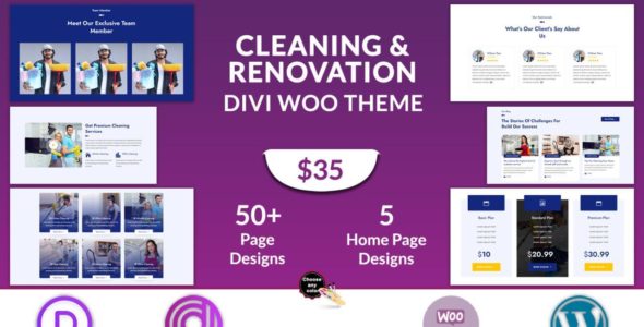 Cleaning and Renovation (Divi Professional)