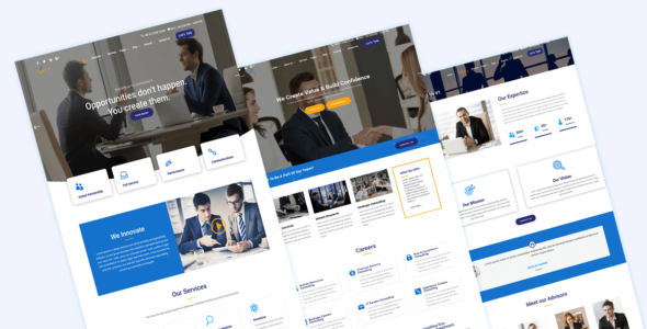 Consulting Company (Divi Professional)