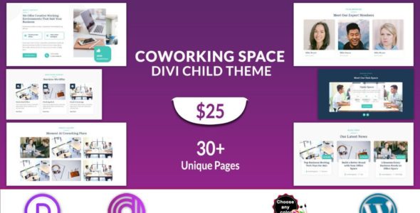 Coworking Space (Divi Professional)