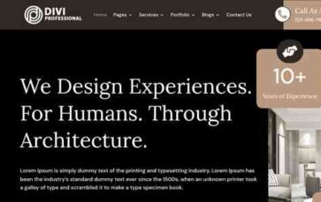 Divi Architecture (Divi Professional) #2 - (screenshot desktop)