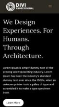 Divi Architecture (Divi Professional) #2 - (screenshot mobile)