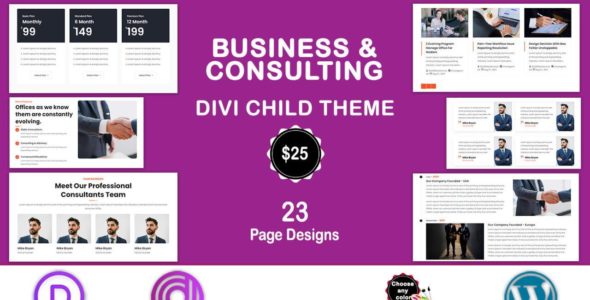 Divi Business & Consulting Service (Divi Professional)