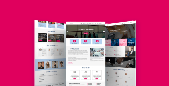 Divi Business (Divi Professional)