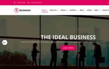 Divi Business (Divi Professional) (screenshot desktop)