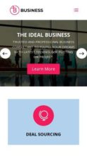 Divi Business (Divi Professional) (screenshot mobile)