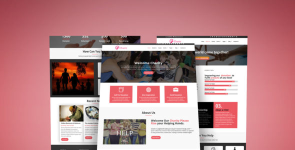 Divi Charity (Divi Professional)
