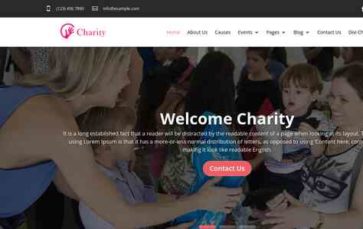 Screenshot Desktop Divi Charity (Divi Professional) (screenshot desktop)