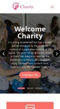 Screenshot Mobile Divi Charity (Divi Professional) (screenshot mobile)