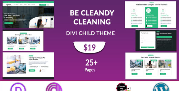 Divi Cleaning Service (Divi Professional)