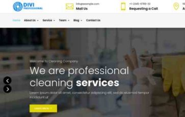 Divi Cleaning Services (screenshot desktop)